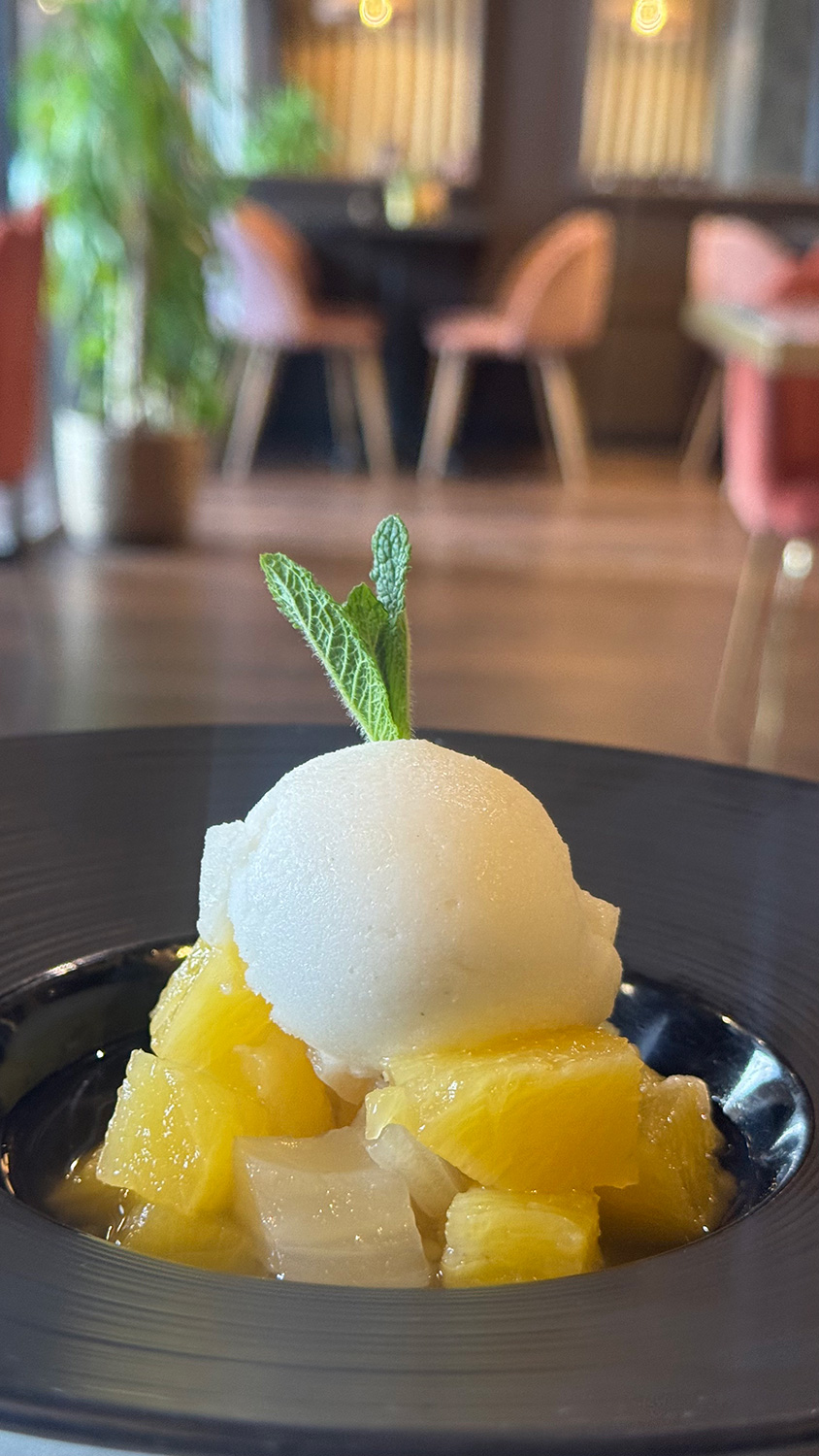 Infusión de piña hinojo y haba tonka