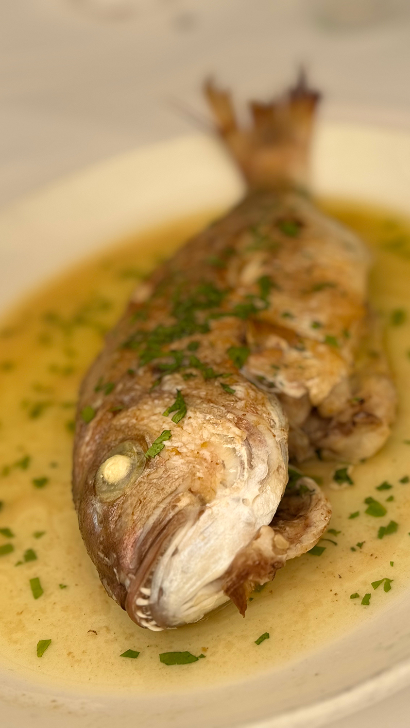 Pargo