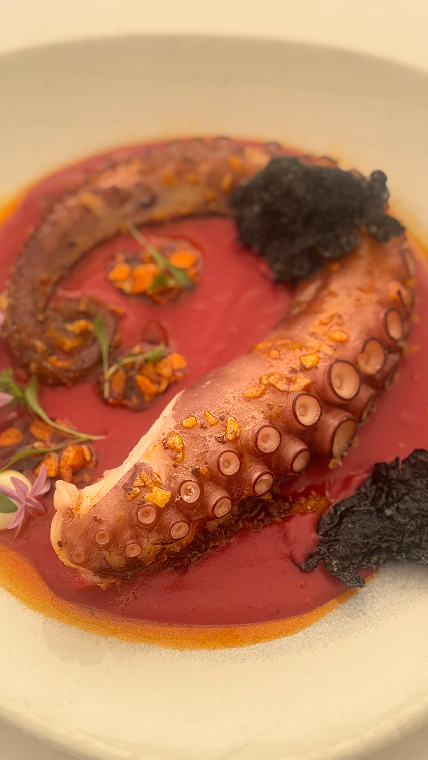 Pulpo